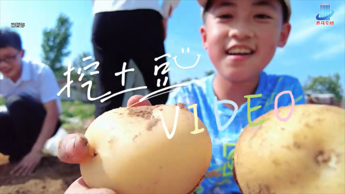 儿童节挖土豆生活体验活动
